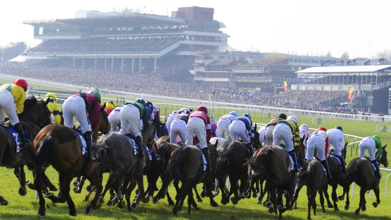 cheltenham-racecourse-copy-2